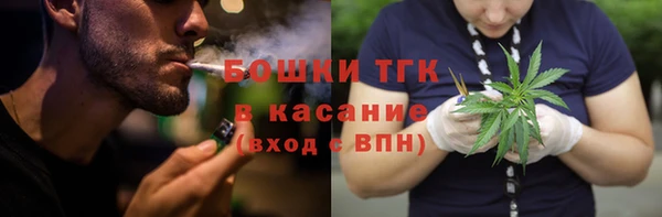 сатива Заволжье